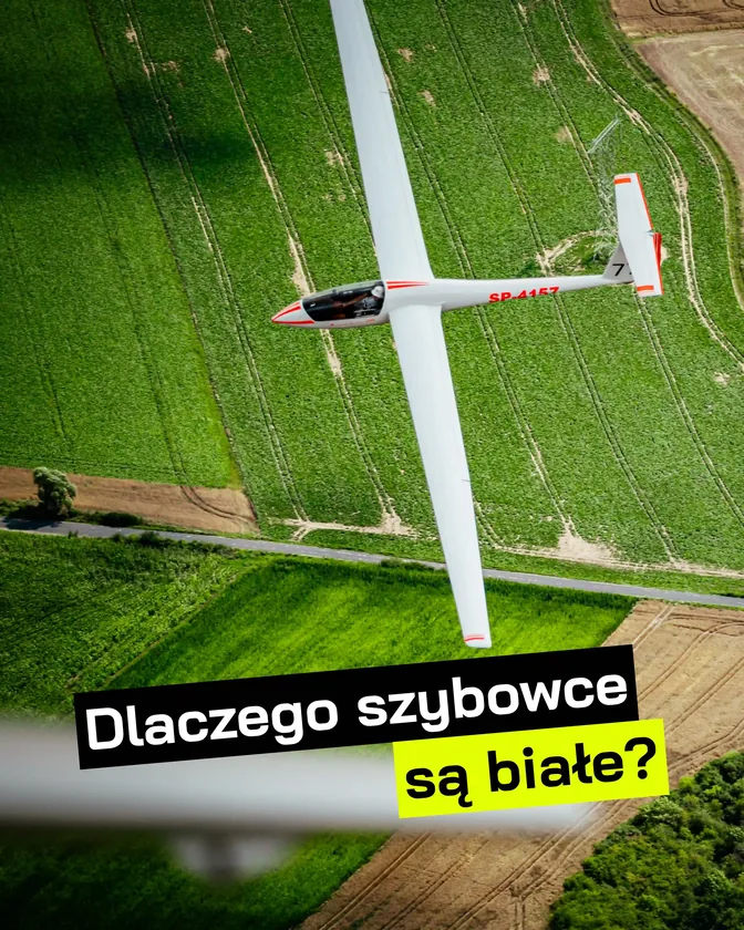 Dlaczego szybowce są białe?